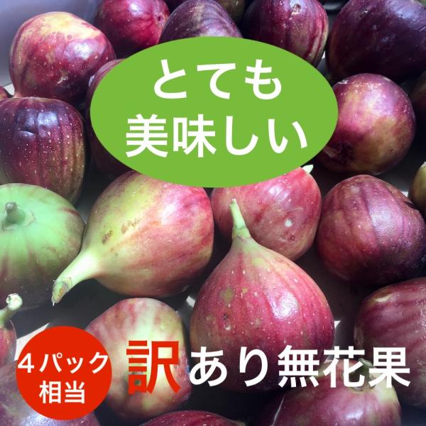 香川県産 未熟イチジク 加工用 農薬不使用 通販
