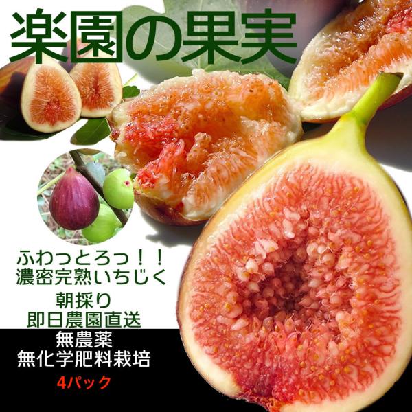 生栗　愛知県産  900g    14日収穫