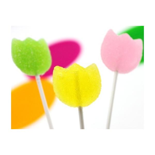 yEEGfBOE񎟉v`Mtgzv`t[LfB[iVerj3P[Xi150j