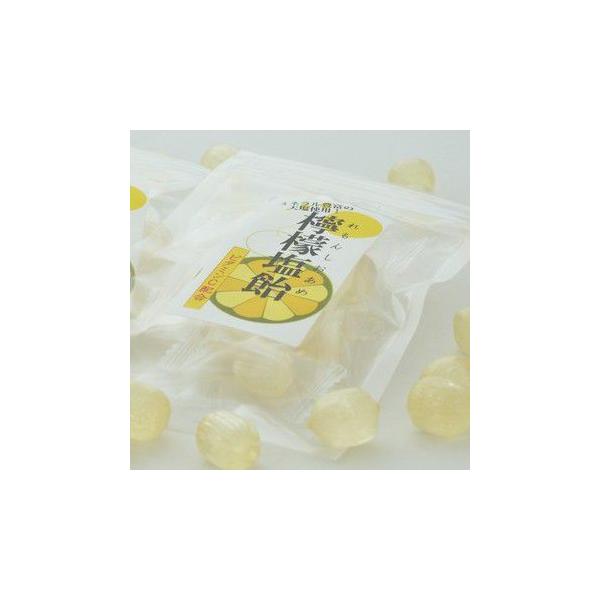 業務用　レモン塩飴（レモン塩あめ）『食べきりサイズ』便利なチャック付（20袋入り）【熱中症対策塩飴】