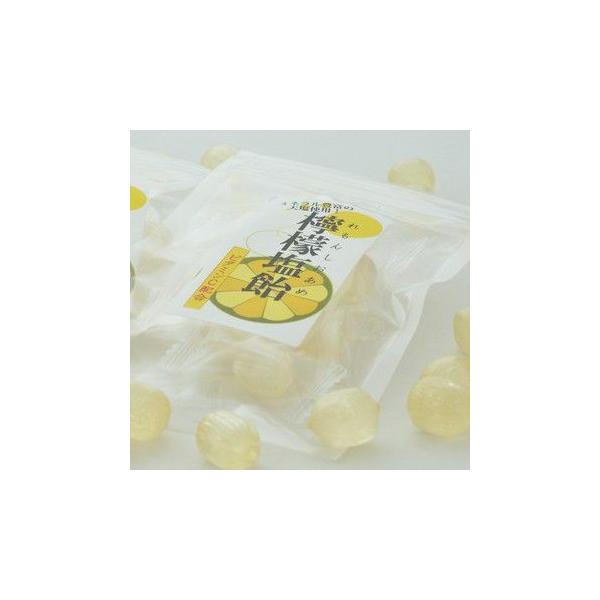業務用 レモン塩飴（レモン塩あめ）『食べきりサイズ』便利な
