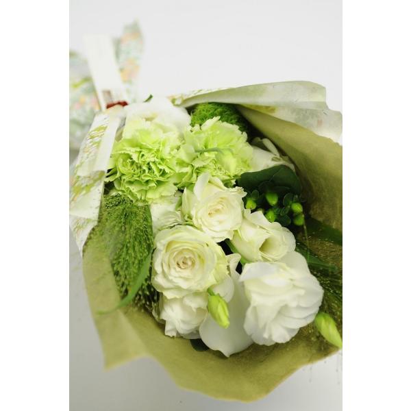 ސEj ԑ  Ê ސE LOi  i`  O[ n LO j 킢  J[y 킢ԁ@ -houju-iԑjz