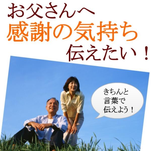父の日 プレゼント お父さん 退職 感謝 還暦 古希 誕生日プレゼント 贈り物 ギフト 父親 父 ポエム 額 40代 50代 60代 70代 80代 父の日 ありがとう 額 Buyee Buyee Japanese Proxy Service Buy From Japan