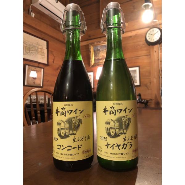井筒ワイン生ぶどう酒 2025 ナイヤガラ・コンコード720ml 2本セット