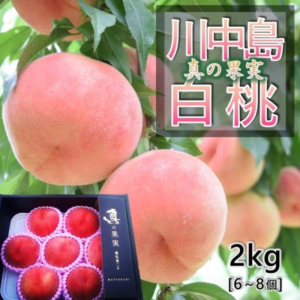 多様な 桃 日川白鳳 秀品 6個 60サイズ2kg用箱入り agapeeurope.org