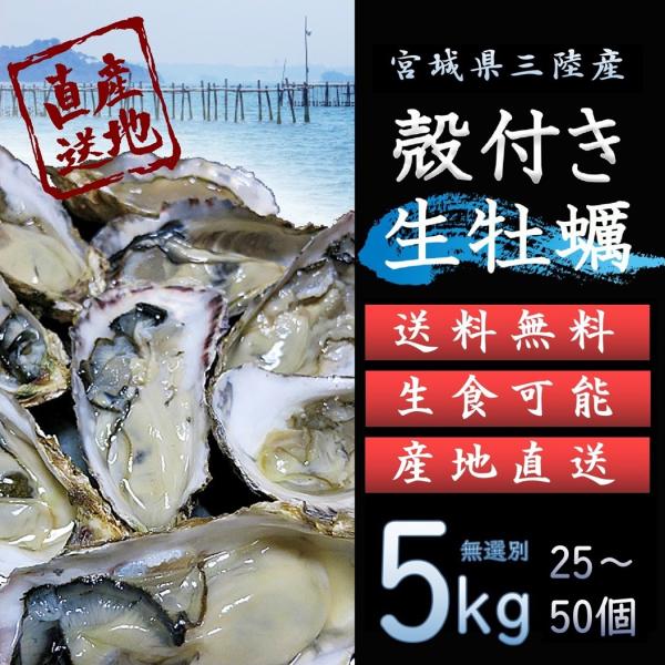 生食OK 三陸産 殻付き 生牡蠣 5kg 今季初出し 希少 生食用 数量限定