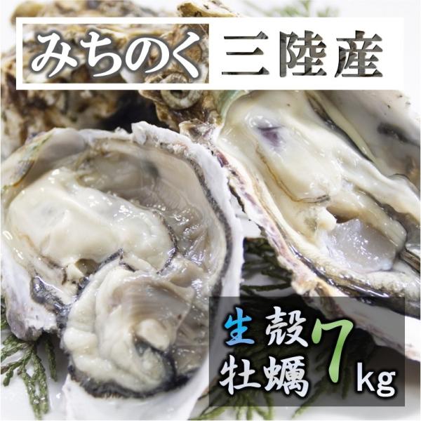 生食 OK カキ みちのく三陸産 殻付き生牡蠣 7kg 送料無料 レビュー投稿で 牡蠣ナイフ 付属 亜鉛 新鮮 宮城 産地直送 セール 海鮮 キャンプ ギフト 父の日