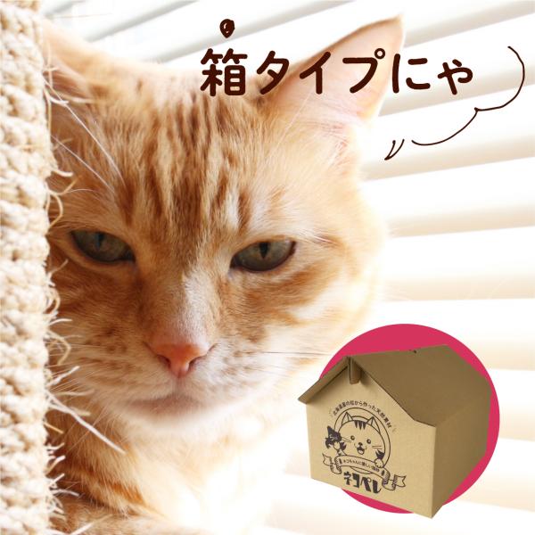 松を使った猫ちゃんに優しい木質ペレットの猫砂 ネコペレ 家タイプ 1箱(5kg) :neko:イワクラオンラインショップ - 通販 - Yahoo!ショッピング 松を使った猫ちゃんに優しい木質ペレットの猫砂 ネコペレ 家タイプ 1箱(5kg) :neko:イワクラオンラインショップ - 通販 - Yahoo!ショッピング