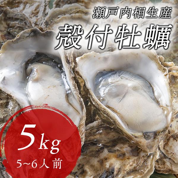 兵庫県瀬戸内相生産 殻付牡蠣】5kg（5〜6人前） : イワモト水産 - 通販