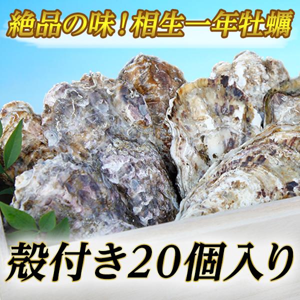 生牡蠣 送料無料 瀬戸内相生産 殻付牡蠣 個入り お取り寄せ 002 イワモト水産 通販 Yahoo ショッピング
