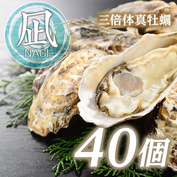 選び抜かれた環境で育つ「凪」は、イワモト水産のブランド牡蠣です。通常の牡蠣（二倍体牡蠣）は産卵期に身が痩せてしまいますが、三倍体真牡蠣は産卵しないため、その分の栄養がすべて身に蓄えられるのが特徴です。年中美味しく食べることができる、さわやか...