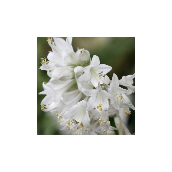 CM{EV&lt;br/&gt;u̐v