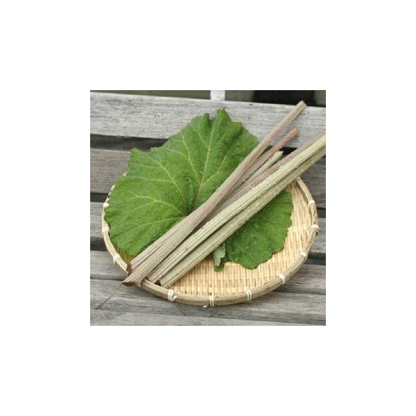 アキタブキは東北地方から北海道にかけて分布するフキで、茎が太く葉も雨がさになる程大きくなります。親しみ深い山菜の代表格です。