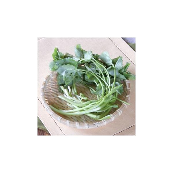 ミツバは薬味として欠かせない山菜のひとつです。Β-カロテンを含む緑黄色野菜です。