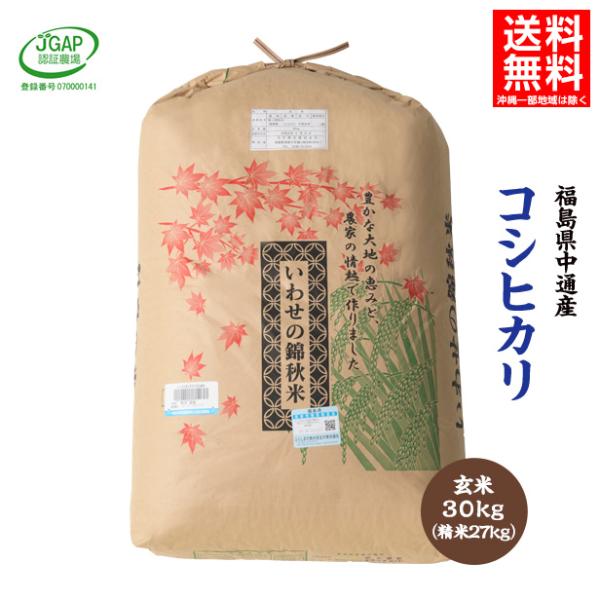 令和6年産 福島県 中通産 コシヒカリ 玄米 30kg JGAP お米 : い 令和6年産 福島県 中通産 コシヒカリ 玄米 30kg JGAP お米 : い