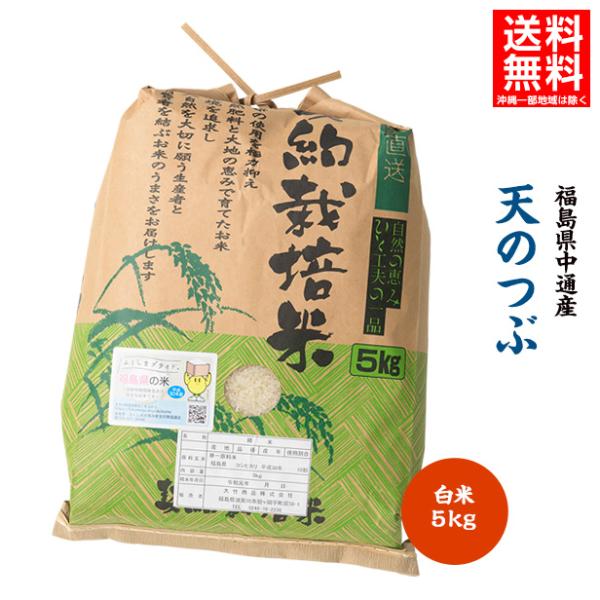 （ドロンジョ様仮専用）福島県産令和5年産10kg天のつぶ5kgひとめぼれ5kg 米 天のつぶ 10kg(5kg×2袋) 福島県産 お米 6年産 送料無料 『令