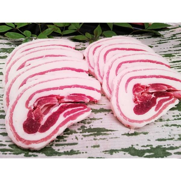天然猪バラ肉(焼肉用)1kg 広島県産 一万円以上ご購入送料無料 :sisi037:いわた屋 通販 ふるさと納税 GB-06 猪肉 バラ 1kg(250g×4パック) 鳥取県大山町