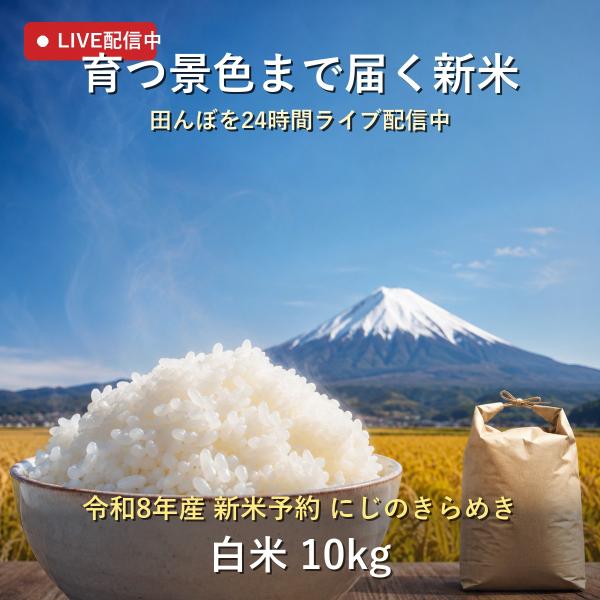 日本の銘米 新米 予約 令和8年産 お米 10kg 送料無料 静岡県産 にじの