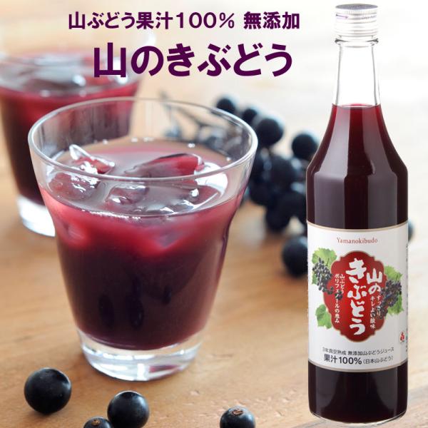 果汁100％ 無添加 山のきぶどう 600ml 贈り物 ギフト ヘルシー 鉄分