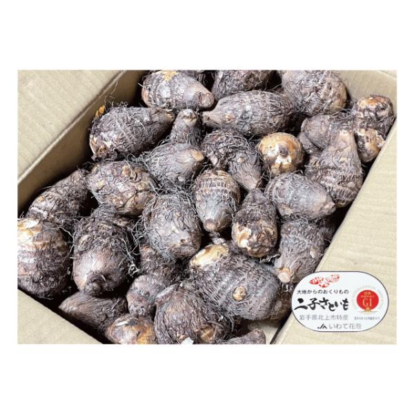 二子さといも Lサイズ 5kg いものこ汁 煮物 唐揚げ に GI登録 地理的表示保護制度 里芋 岩手県北上市