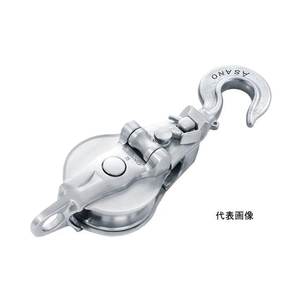 H ASANO XeX AKubNIII A^Xib`nbJ[ 1 75mm AK10171