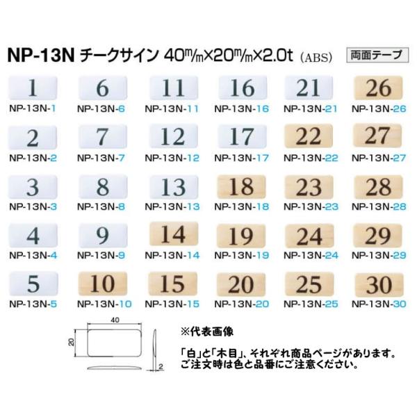 [   VN} NP-13N-10 `[NTC 10 ؖ  40mm×20mm×2t