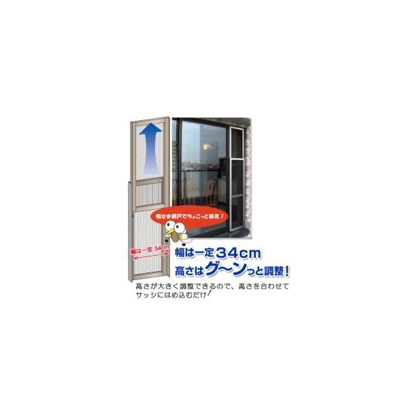 Z OKXChԌ STCY S3-ST-S *