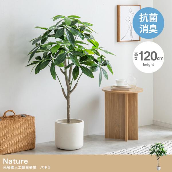【光触媒/抗菌防臭】人工観葉植物 室内グリーン パキラ 高さ120cm 人工観葉植物 パキラ 光触媒 高さ120cm フェイクグリーン 消臭 抗菌