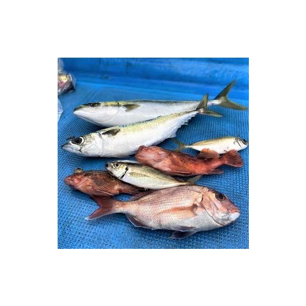 iwork_iwtungstenweight-60g_4