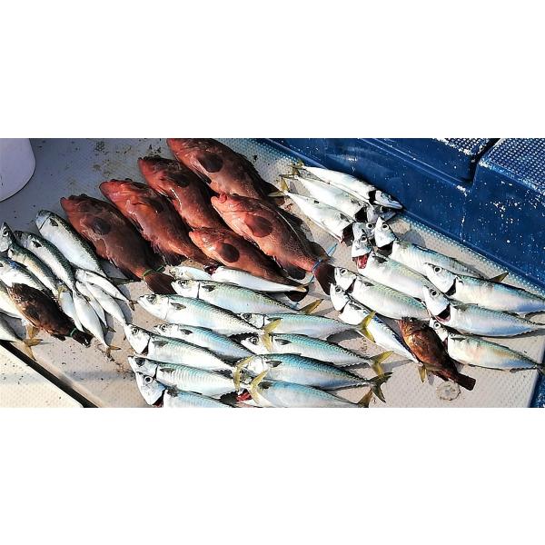 iwork_iwtungstenweight-60g_5