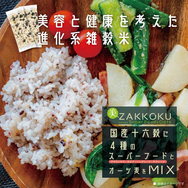 米・雑穀・粉類 mco 九州産原料使用 五穀 260g(玄米 229g、もち精米 31g)×2 | 【公式