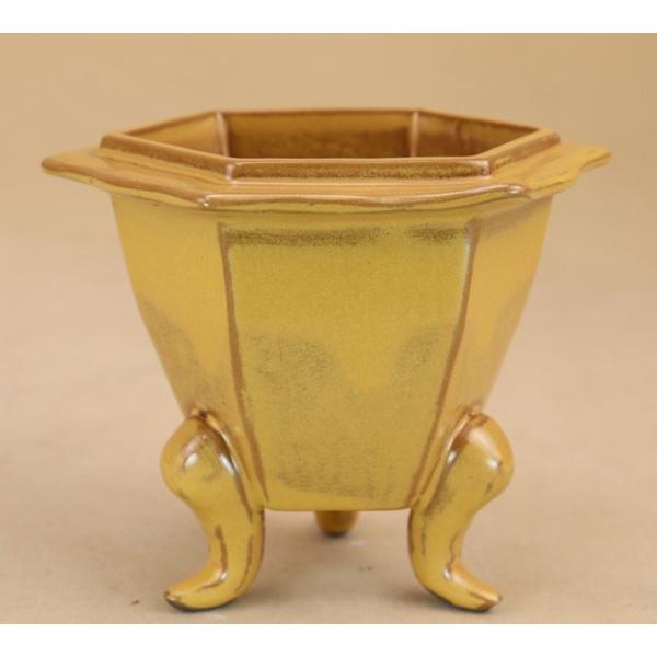 y~͔z ݌Ï  Ñ^ ZpO 4 i悶 ɗ\Hj