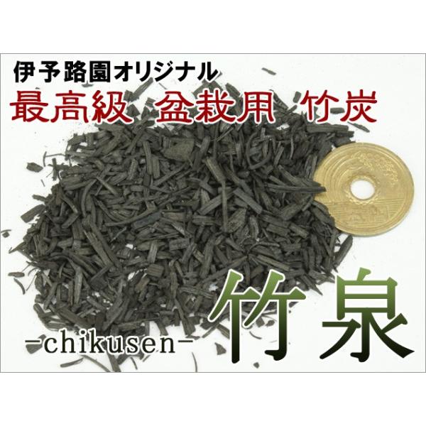 (~ |Y)  -|- ɗ\HIWi ō ~͗p |Y [ȑeʃ^Cv](ɗ\H)