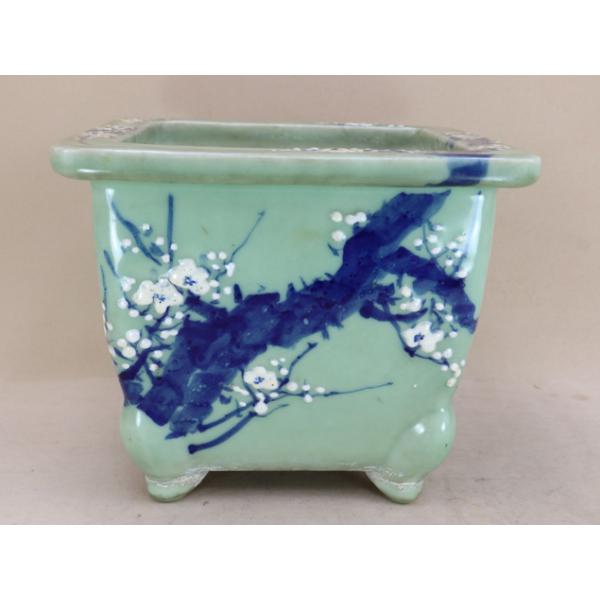 瀬戸 梅文 青磁 植木鉢 盆栽鉢 梅鉢 時代物　❷個セット iyoji-en_jdi-t233