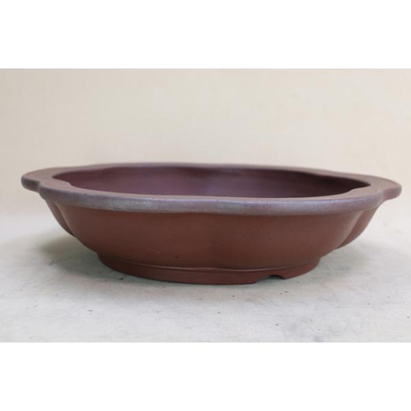 松泉　盆栽鉢 Yahoo!オークション -「鉢 松泉」(盆栽) の落札相場・落札価格