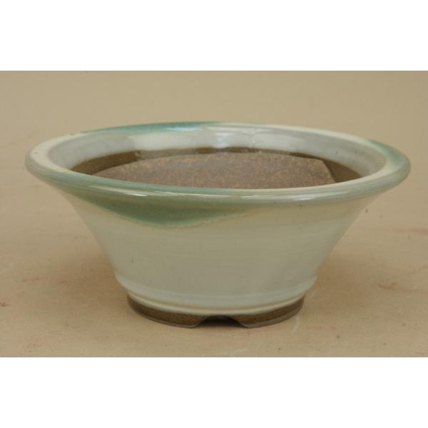 yɗ\Hzy~͔z Ό/5w} yE15cmzy~j`z