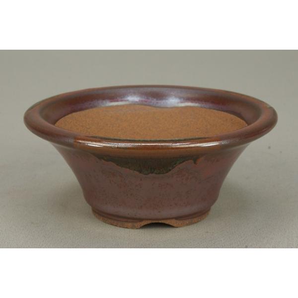 (ɗ\H) (~͔)  Ό/4w} (E12.5cm) (~j`)