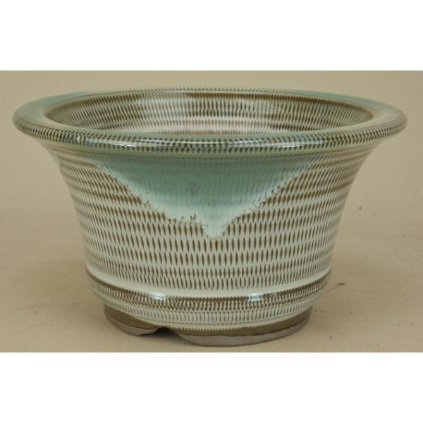 yɗ\Hzy~͔z Ό/6 [۔iJij yE18cmzy~j`z