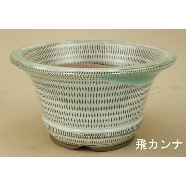 yɗ\Hz Ό/O[۔/5FZbg/MTCY