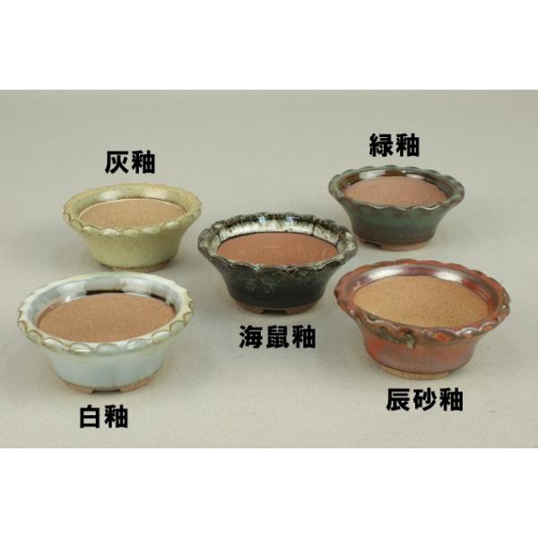 yɗ\Hzy~͔z Ό/ېw}g yE7.8cmzy~j`z