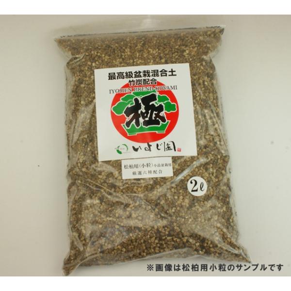 盆栽 用土 極 いよじ園オリジナル 最高級ブレンド培養土 ミニ盆栽 小品盆栽用 小粒 2リットル 雑木用 松柏用 山野草や観葉植物にも Buyee Buyee Japanese Proxy Service Buy From Japan Bot Online