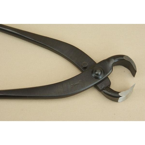 SƐM[va] ؁ij (~) (~͓) (ɗ\H)