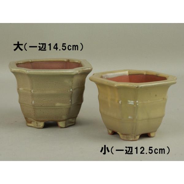 (ɗ\H) (~͔)  L/ D֋ؓRij1ӁF14.5cm (~j`)