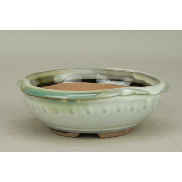 yɗ\Hzy~͔z Ό/etό` yցzyaF14.5cmzy~j`z