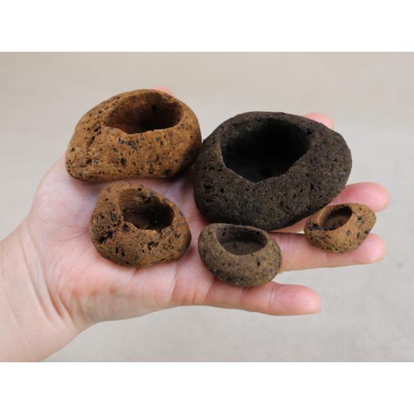 軽石 鉢 8個セット 自然形状 大量につき，大安売り 激安お買い得 軽石 鉢 8個セット 自然形状 大量につき，大安売り 激安お買い得