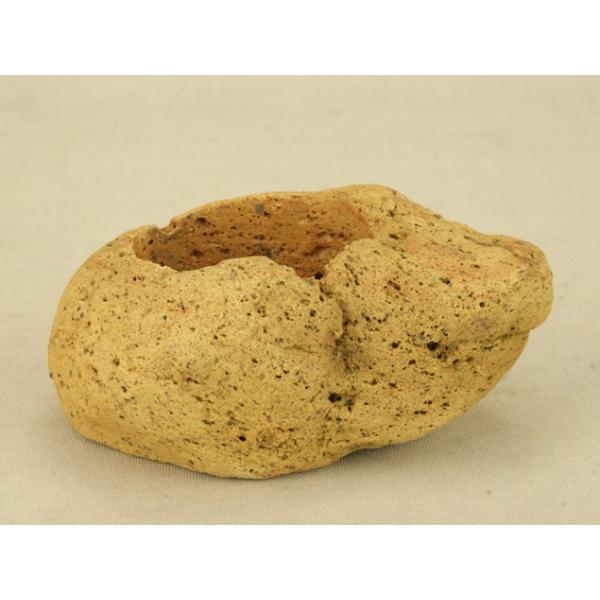 y~͔z Y t y iTCYj y悶 ɗ\Hz