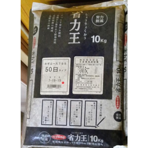 サカタのタネ（サカタノタネ） 省力王 ネギエース 795 50日タイプ