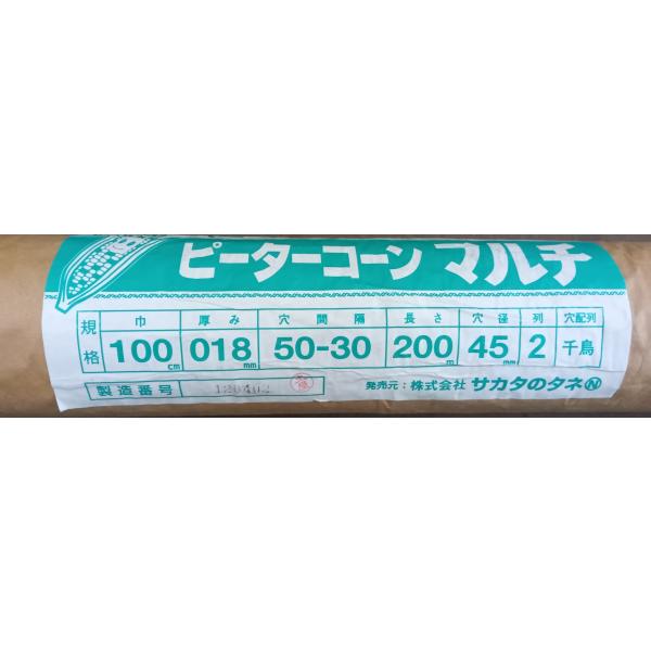 ピーターコーンマルチ透明　送料含む