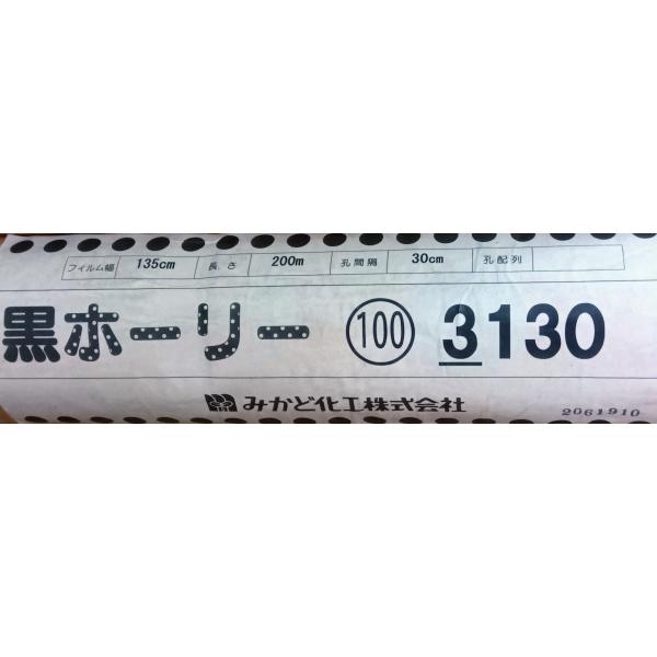 ホーリーシートマルチ　黒　３１３０大　送料含む