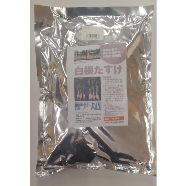 ねぎ用菌根菌　白根たすけ　1kg （育苗用G2)